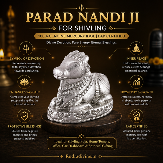 Parad Nandi Ji for Shivling | 100% Genuine Mercury Idol | Lab Certified crafted from authentic purified mercury with official Lab Certificate by Rudradivine for Lord Shiva worship, home temple, spiritual devotion and divine blessings.