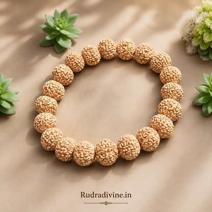 8 Mukhi Rudraksha Bracelet with natural 11MM beads, lab certified by Rudradivine, traditionally associated with Lord Ganesha, overcoming obstacles, wisdom and spiritual wellness.