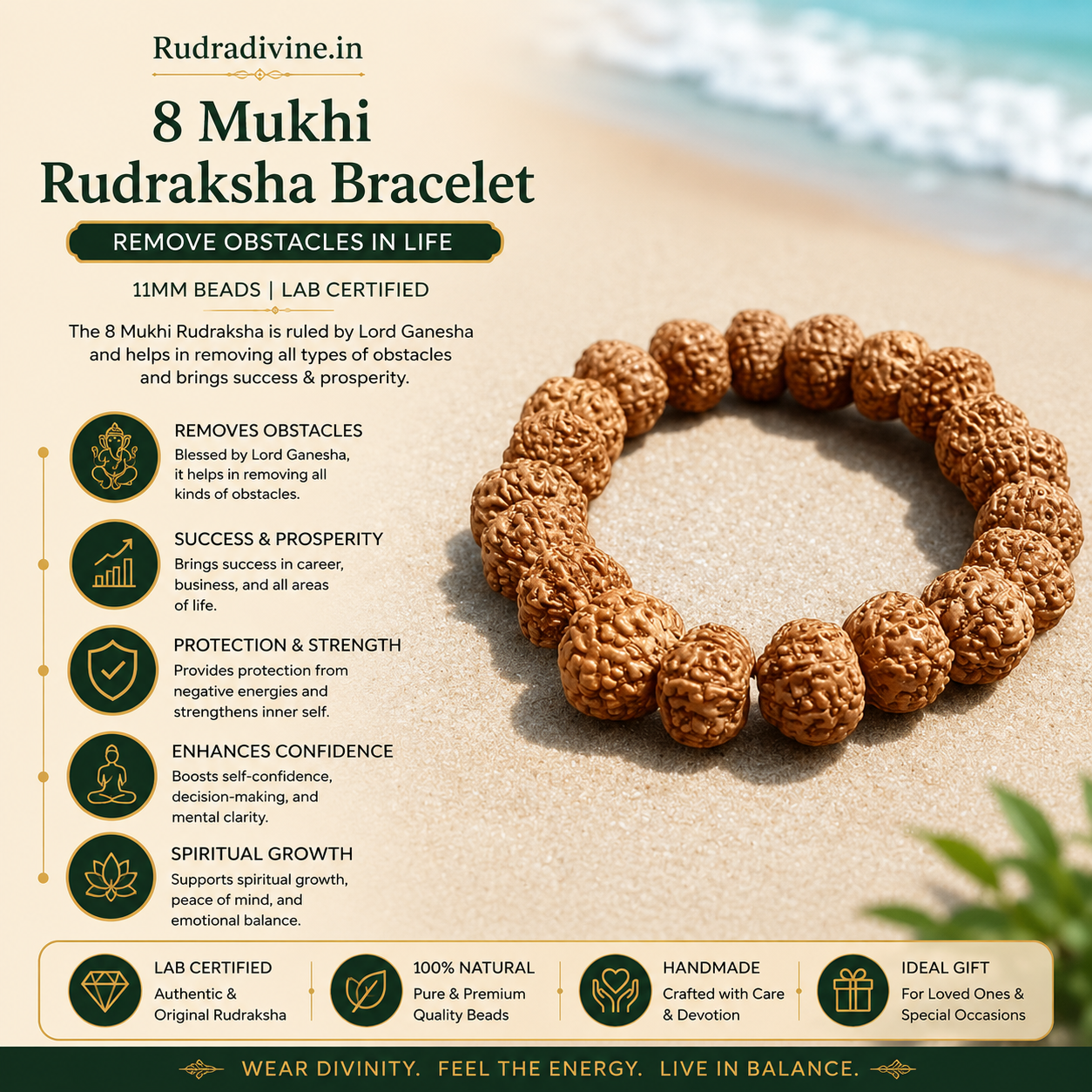 8 Mukhi Rudraksha Bracelet with natural 11MM beads, lab certified by Rudradivine, traditionally associated with Lord Ganesha, overcoming obstacles, wisdom and spiritual wellness.