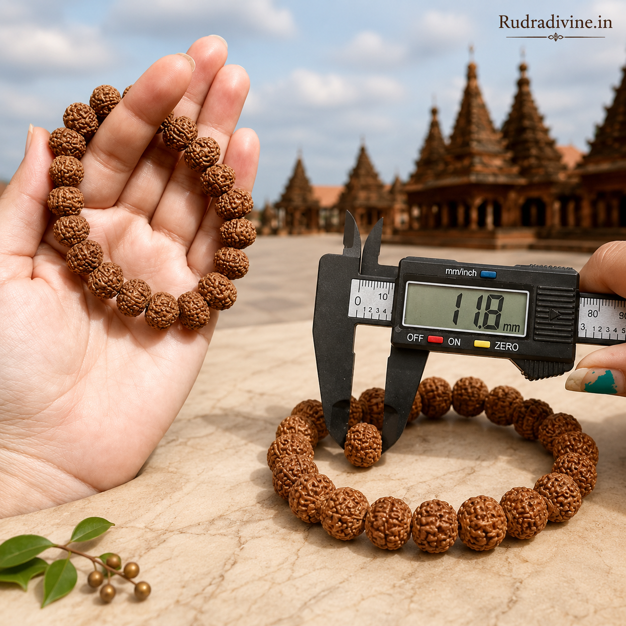 8 Mukhi Rudraksha Bracelet with natural 11MM beads, lab certified by Rudradivine, traditionally associated with Lord Ganesha, overcoming obstacles, wisdom and spiritual wellness.