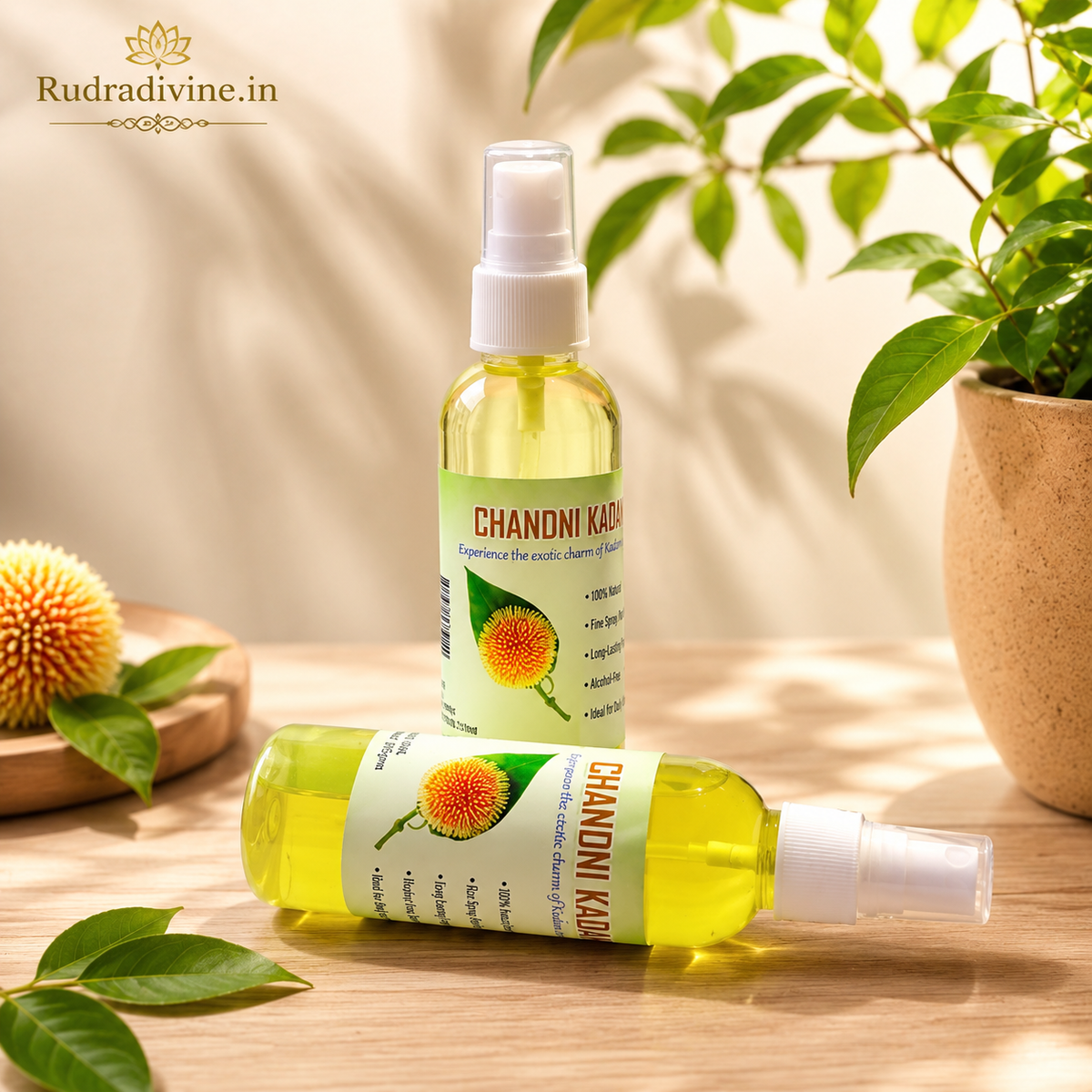 Chandni Kadam Spray Attar 100ml with pure floral aroma, long-lasting fragrance, alcohol-free formula and convenient spray bottle by Rudradivine.