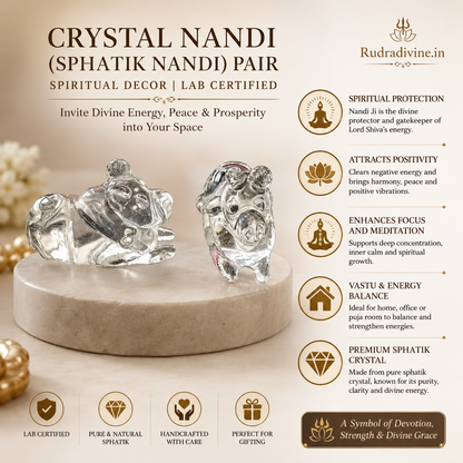Crystal Nandi (Sphatik Nandi) Pair crafted from genuine natural crystal with official Lab Certificate by Rudradivine for Shiva worship, meditation, Vastu harmony and spiritual decor.