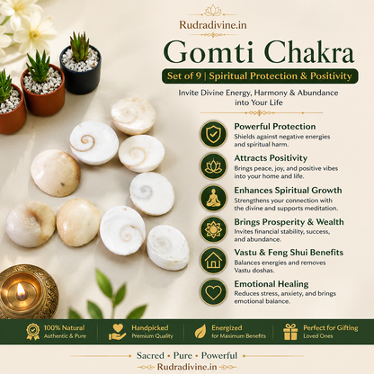 Gomti Chakra Set of 9 by Rudradivine, traditionally used for spiritual protection, positivity, worship, blessings, puja and home spiritual practices.