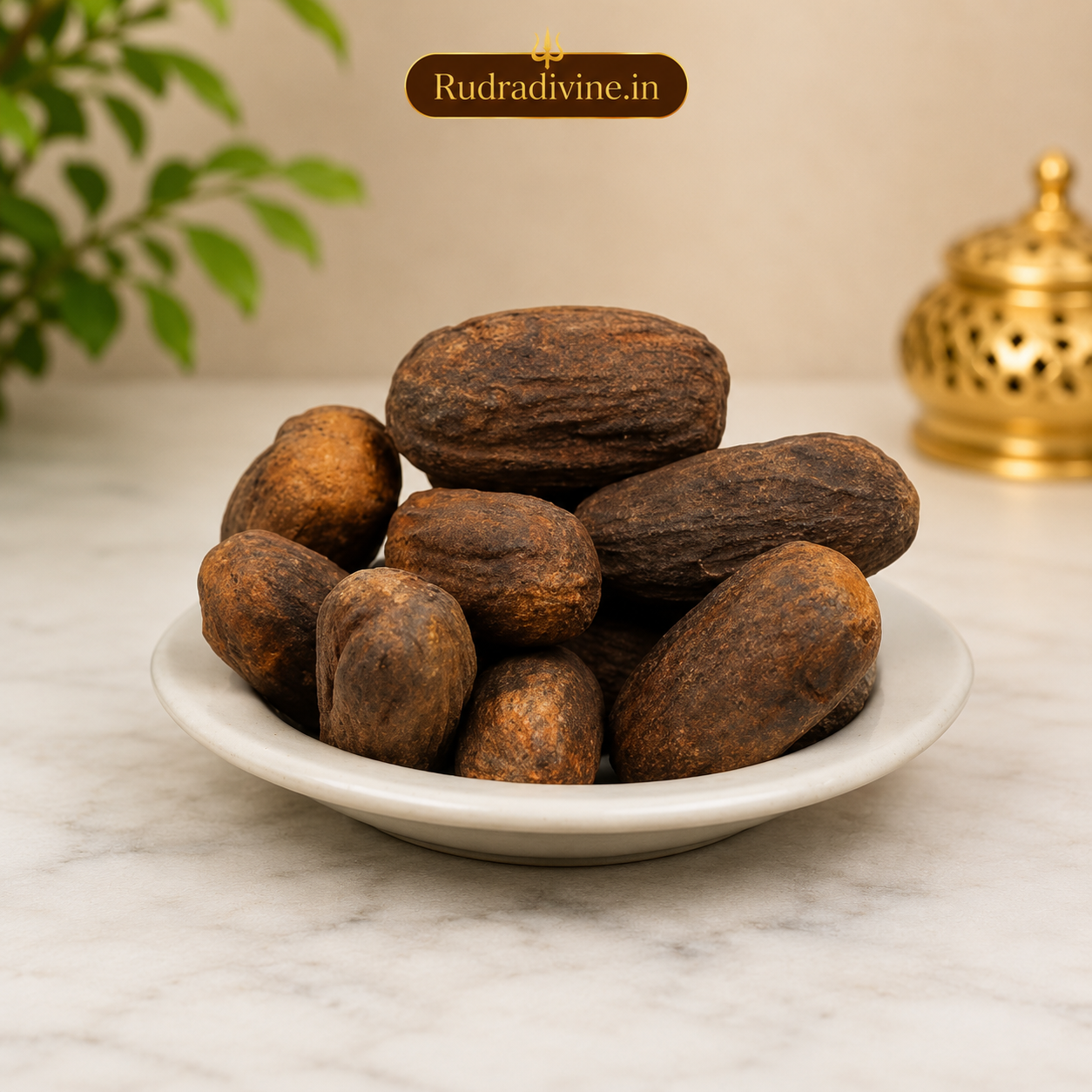 Jaiphal Purvi Sabut Jaiphal whole nutmeg for Puja, Hindu rituals, devotional offerings, and traditional spiritual practices by Rudradivine, premium quality.