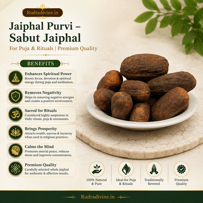 Jaiphal Purvi Sabut Jaiphal whole nutmeg for Puja, Hindu rituals, devotional offerings, and traditional spiritual practices by Rudradivine, premium quality.