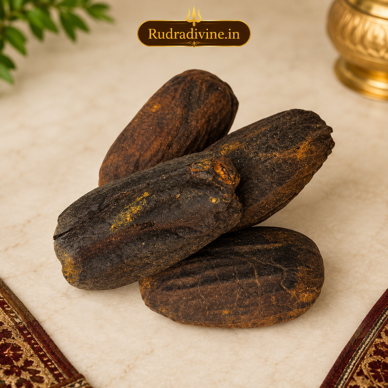 Jaiphal Purvi Sabut Jaiphal whole nutmeg for Puja, Hindu rituals, devotional offerings, and traditional spiritual practices by Rudradivine, premium quality.