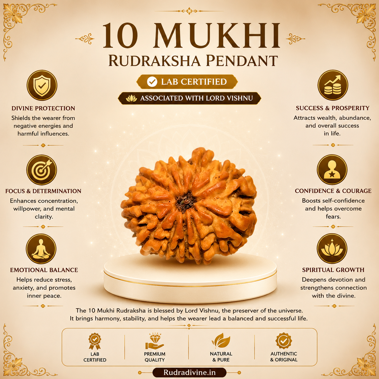 Original 11 Mukhi Rudraksha Eleven Face Pendant associated with Ekadash Rudra (Lord Shiva), lab certified natural Rudraksha by Rudradivine for meditation, spiritual growth, protection, and daily wear.