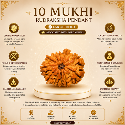 Original 11 Mukhi Rudraksha Eleven Face Pendant associated with Ekadash Rudra (Lord Shiva), lab certified natural Rudraksha by Rudradivine for meditation, spiritual growth, protection, and daily wear.