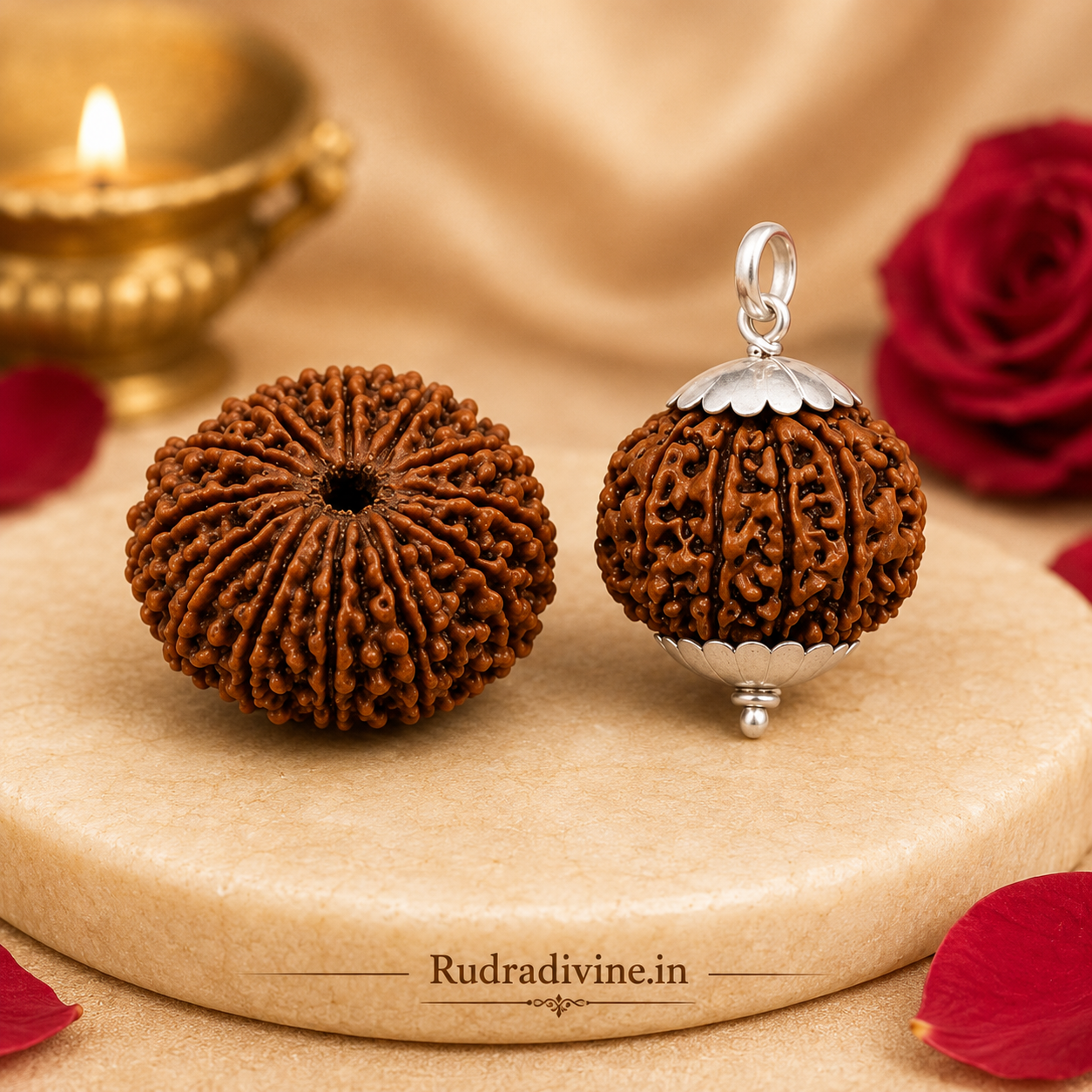 Original 12 Mukhi Rudraksha Twelve Face Pendant associated with Lord Surya, lab certified natural Rudraksha by Rudradivine for confidence, spiritual growth, meditation, and daily wear.