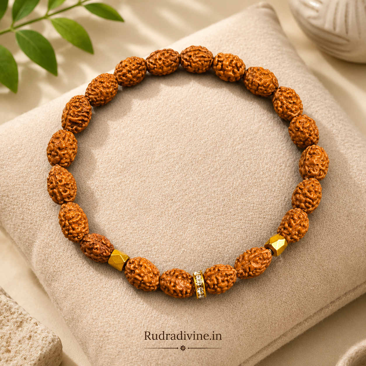 2 Mukhi Rudraksha Bracelet with natural 8-9MM beads and official Lab Certificate by Rudradivine, traditionally associated with harmony, balance and spiritual wellness.
