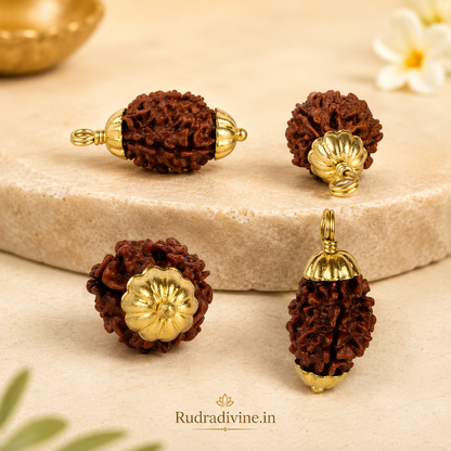 3 Mukhi Rudraksha Three Face Pendant crafted from natural authentic Rudraksha with official Lab Certificate by Rudradivine for Lord Agni blessings, confidence, positivity and spiritual growth.
