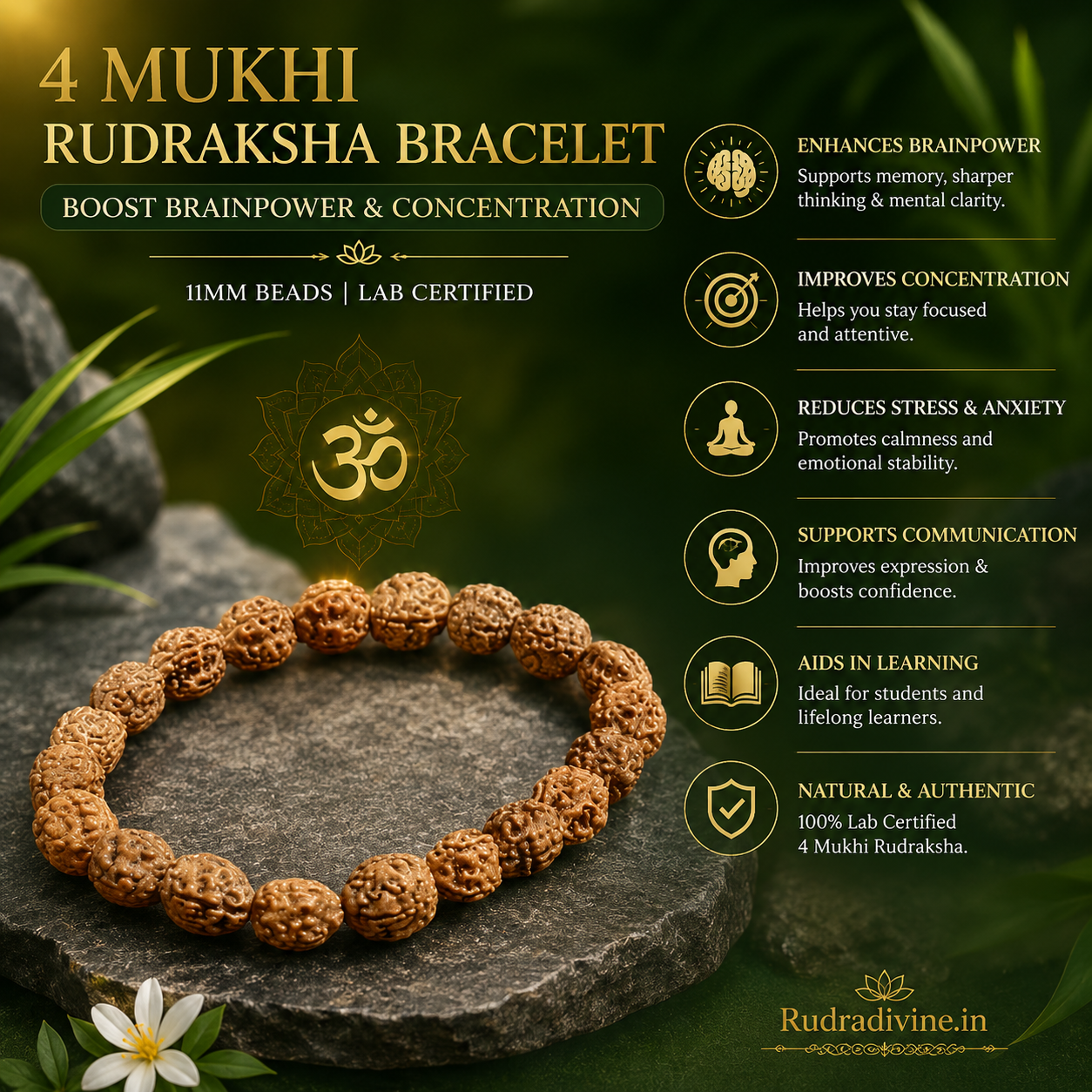 4 Mukhi Rudraksha Bracelet with natural 11MM Rudraksha beads and official Lab Certificate by Rudradivine, traditionally valued for concentration, clarity, learning and spiritual practice.