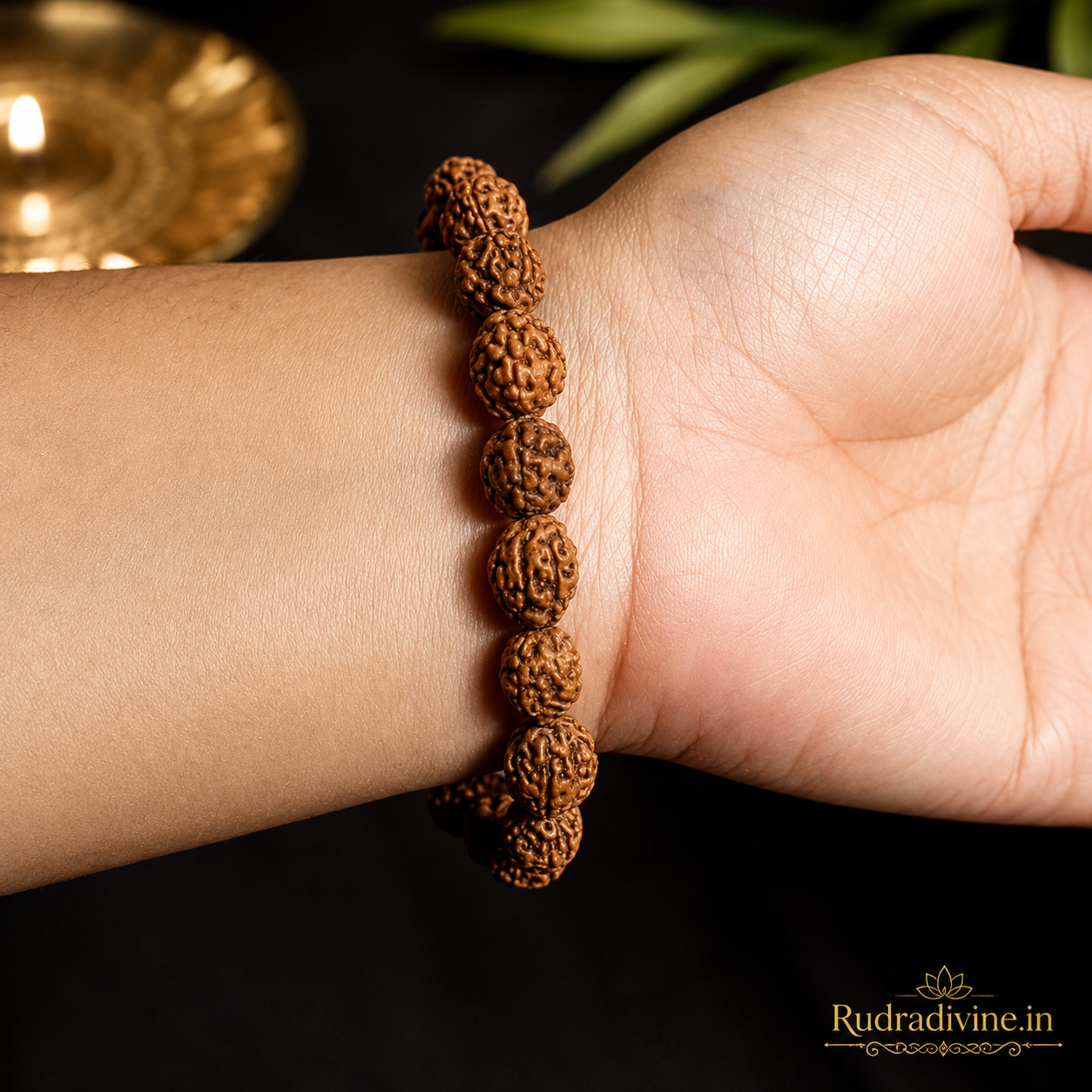4 Mukhi Rudraksha Bracelet with natural 11MM Rudraksha beads and official Lab Certificate by Rudradivine, traditionally valued for concentration, clarity, learning and spiritual practice.