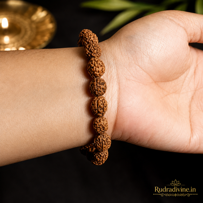 4 Mukhi Rudraksha Bracelet with natural 11MM Rudraksha beads and official Lab Certificate by Rudradivine, traditionally valued for concentration, clarity, learning and spiritual practice.