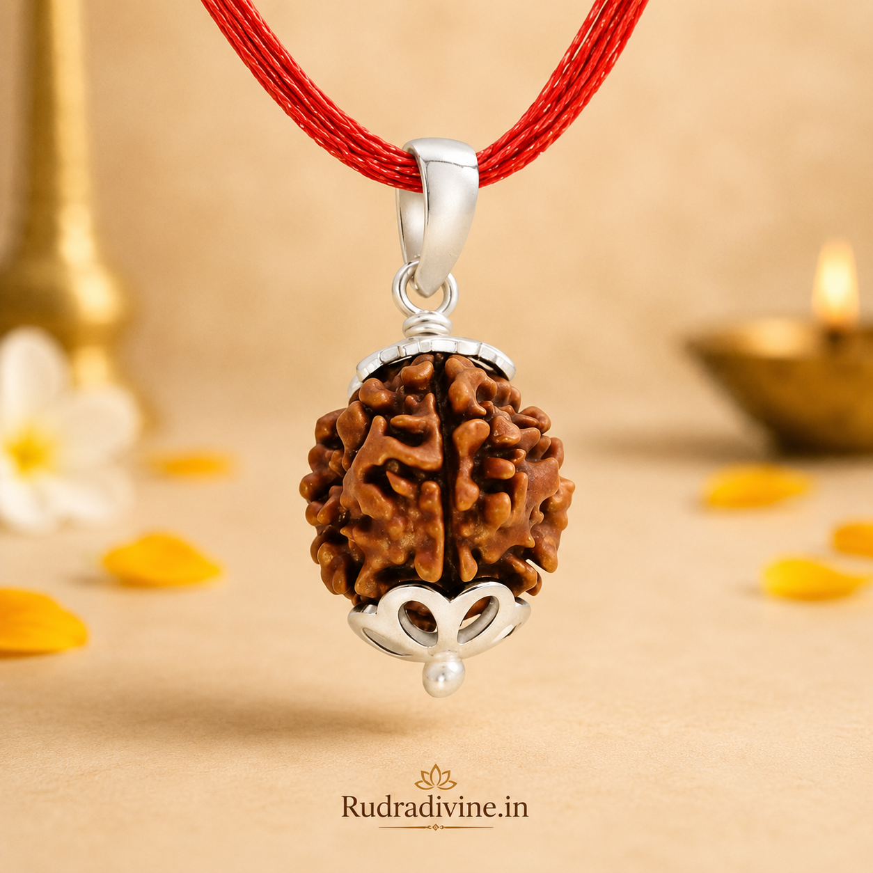 4 Mukhi (Four Face) Rudraksha Pendant featuring a natural Rudraksha bead, associated with Lord Brahma, with an official Lab Certificate by Rudradivine for wisdom, spiritual growth, and daily devotional wear.
