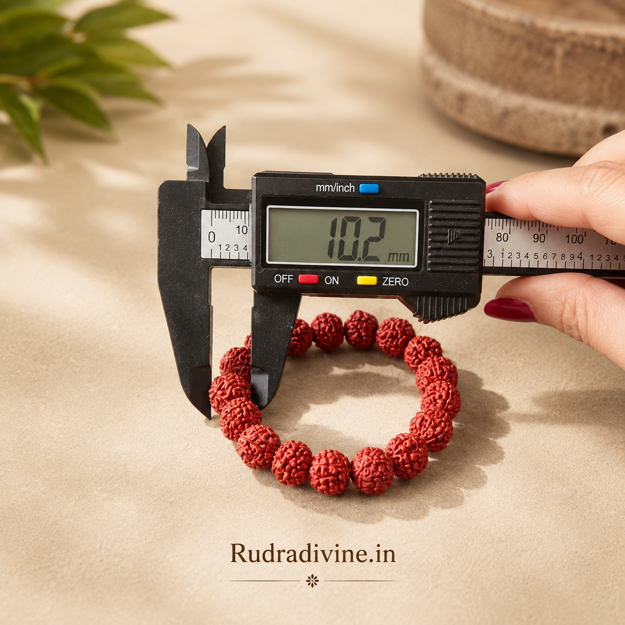 5 Mukhi Rudraksha Bracelet with natural 10MM beads and official Lab Certificate by Rudradivine, traditionally associated with calmness, focus, meditation and spiritual balance.