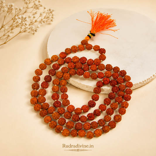 Lab Certified 5 Mukhi Rudraksha Mala 108+1 Beads 8mm crafted from natural Rudraksha beads by Rudra Divine for meditation, mantra chanting and spiritual wellness.