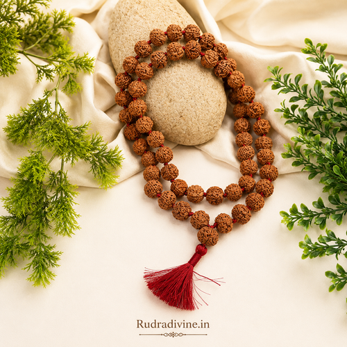 Lab Certified 5 Mukhi Rudraksha Mala 54+1 Beads 8mm crafted from natural Rudraksha beads by Rudra Divine for meditation, mantra chanting and spiritual wellness.