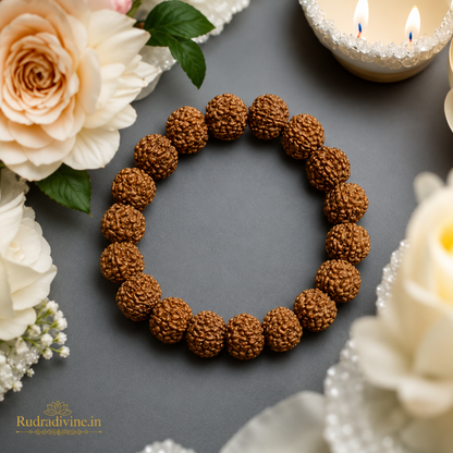 6 Mukhi Rudraksha Bracelet with natural 13MM Rudraksha beads and official Lab Certificate by Rudradivine, traditionally valued for focus, discipline and spiritual practice.