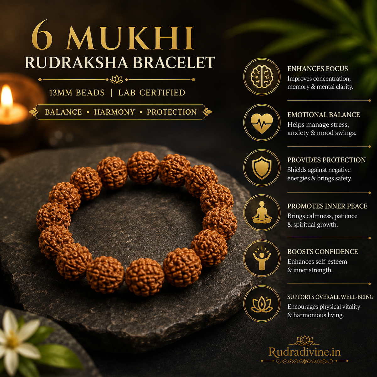 6 Mukhi Rudraksha Bracelet with natural 13MM Rudraksha beads and official Lab Certificate by Rudradivine, traditionally valued for focus, discipline and spiritual practice.