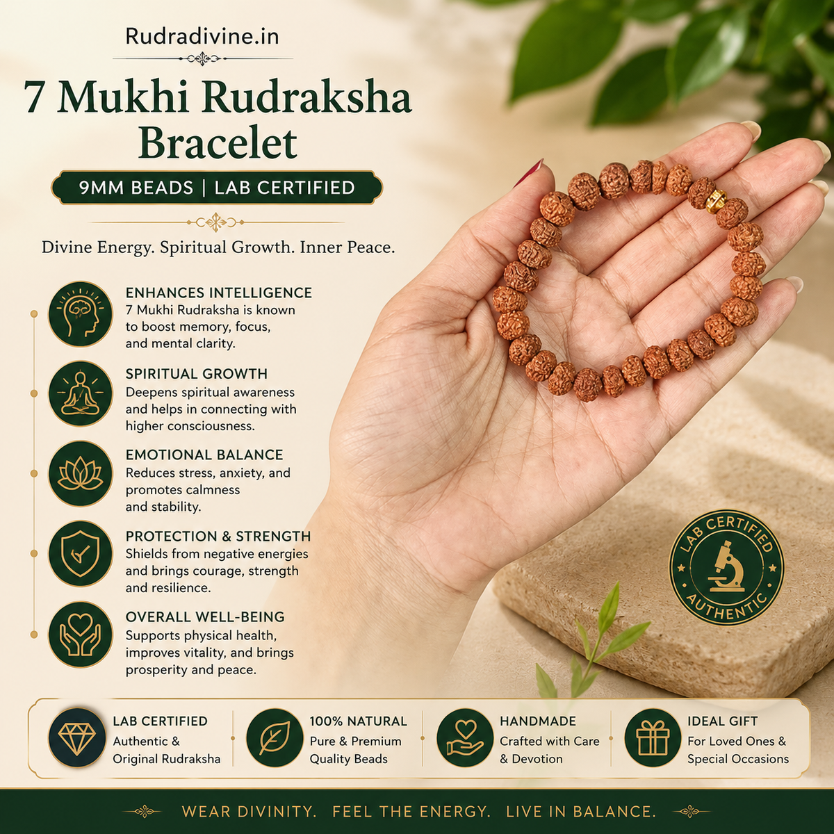 7 Mukhi Rudraksha Bracelet with natural 9MM beads and official Lab Certificate by Rudradivine, traditionally associated with prosperity, grounding and spiritual balance.