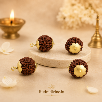 7 Mukhi (Seven Face) Rudraksha Pendant featuring a natural Rudraksha bead, associated with Goddess Mahalakshmi, with an official Lab Certificate by Rudradivine for meditation, spiritual devotion, prosperity, and daily wear.