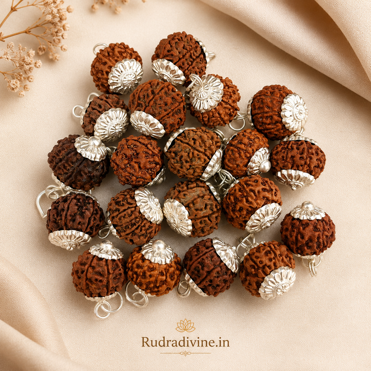8 Mukhi Rudraksha Eight Face Pendant crafted from natural Rudraksha with official Lab Certificate by Rudradivine, associated with Lord Ganesha for spiritual devotion.