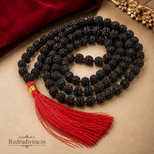 Black Rudraksha Mala 108+1 Beads crafted with natural 8MM Rudraksha beads and official Lab Certificate by Rudradivine for meditation, protection and spiritual wellness.