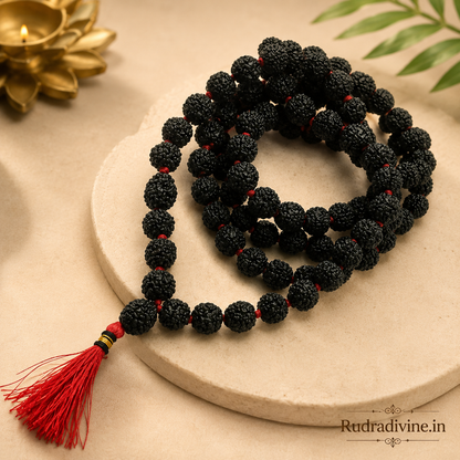 Black Rudraksha Mala 108+1 Beads crafted with natural 8MM Rudraksha beads and official Lab Certificate by Rudradivine for meditation, protection and spiritual wellness.