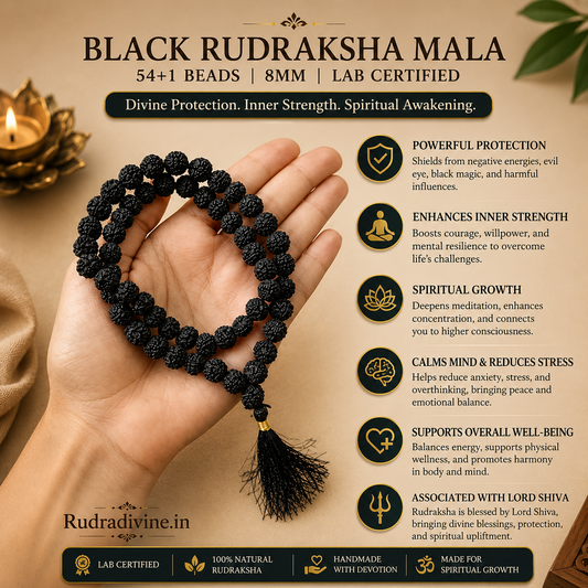 Black Rudraksha Mala 54+1 Beads crafted with natural 8MM Rudraksha beads and official Lab Certificate by Rudradivine for meditation, protection and spiritual wellness.