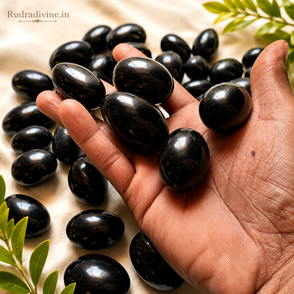 Natural Black Shivling Stone with official Lab Certificate by Rudradivine, ideal for Tulsi plant, home temple, Shiva worship, Abhishek and daily spiritual rituals.