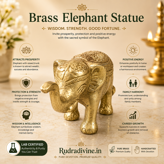 Brass Elephant Statue with premium brass finish and official Lab Certificate by Rudradivine, ideal for vastu, home décor, pooja room, prosperity, and positive energy.