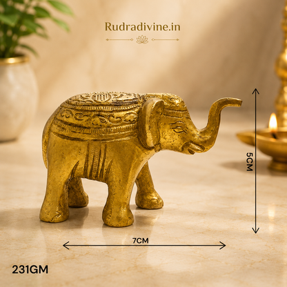 Brass Elephant Statue with premium brass finish and official Lab Certificate by Rudradivine, ideal for vastu, home décor, pooja room, prosperity, and positive energy.