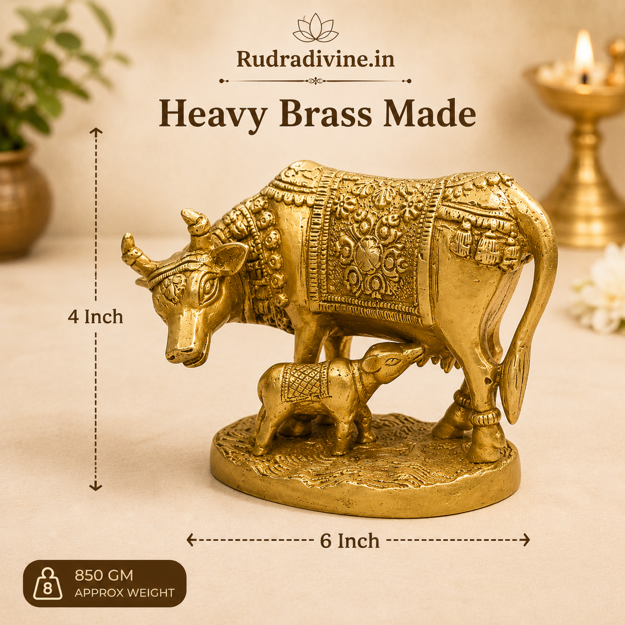 Brass Kamdhenu Cow idol crafted in premium brass with official Lab Certificate by Rudradivine for Vastu, prosperity, home temple décor and spiritual blessings.