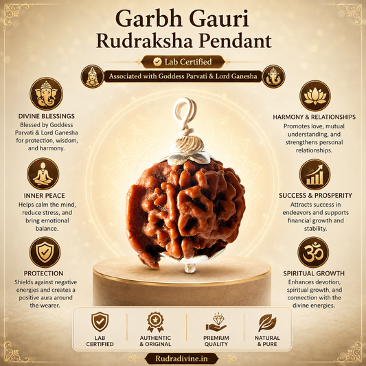 Original Ganesh Rudraksha Pendant with natural trunk-like formation, associated with Lord Ganesha, lab certified by Rudradivine for spiritual growth, wisdom, success, and daily devotional wear.