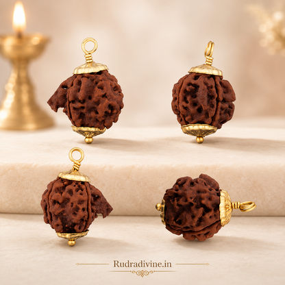 Original Ganesh Rudraksha Pendant with natural trunk-like formation, associated with Lord Ganesha, lab certified by Rudradivine for spiritual growth, wisdom, success, and daily devotional wear.
