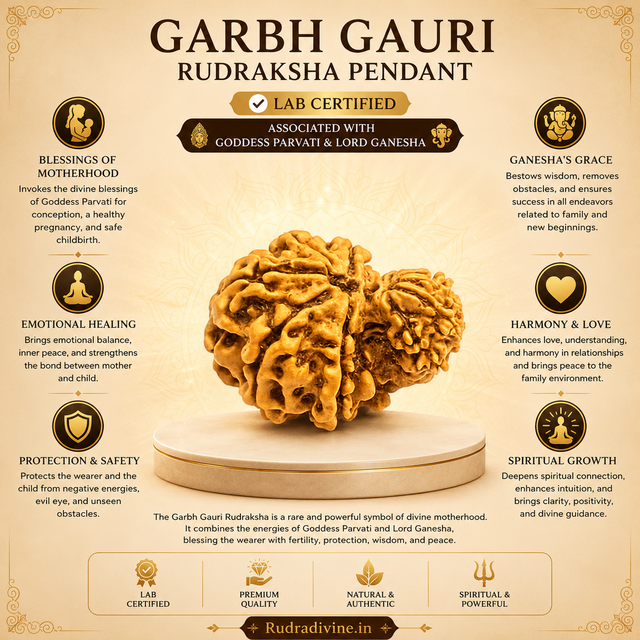 Original Garbh Gauri Rudraksha Pendant featuring naturally joined Rudraksha beads, associated with Goddess Parvati and Lord Ganesha, lab certified by Rudradivine for spiritual harmony, family unity, and meditation.