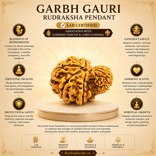 Original Garbh Gauri Rudraksha Pendant featuring naturally joined Rudraksha beads, associated with Goddess Parvati and Lord Ganesha, lab certified by Rudradivine for spiritual harmony, family unity, and meditation.