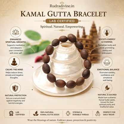 Kamal Gutta Bracelet crafted with natural lotus seeds and official Lab Certificate by Rudradivine for prosperity, Lakshmi worship and spiritual meditation.