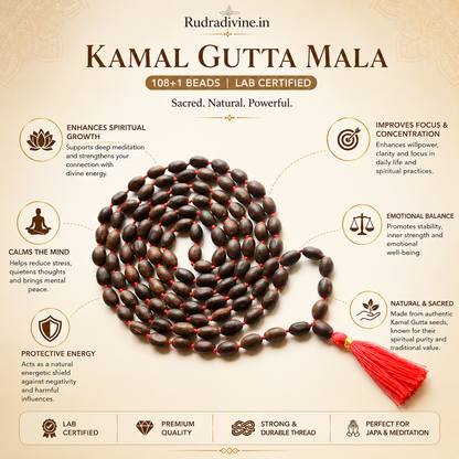 Kamal Gutta Mala 108+1 Beads crafted with natural lotus seeds and official Lab Certificate by Rudradivine for prosperity, Lakshmi worship and spiritual meditation.