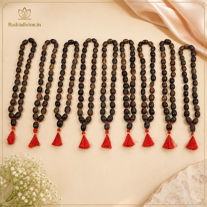 Kamal Gutta Mala 27+1 Beads crafted with natural lotus seeds and official Lab Certificate by Rudradivine for prosperity, Lakshmi worship and spiritual meditation.