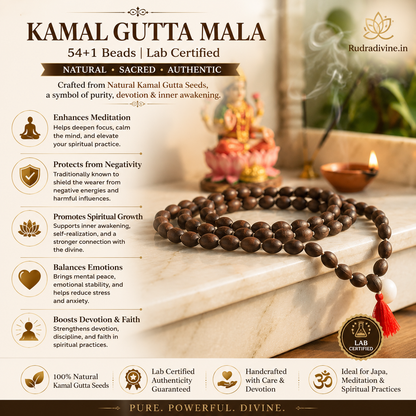 Kamal Gutta Mala 54+1 Beads crafted with natural lotus seeds and official Lab Certificate by Rudradivine for prosperity, Lakshmi worship and spiritual meditation.