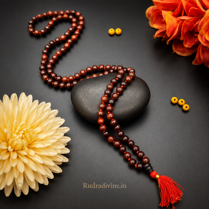 Lal Chandan (Red Sandalwood) Mala 108+1 Beads 8MM crafted from natural red sandalwood with official Lab Certificate by Rudradivine for meditation, mantra chanting and daily spiritual practice.