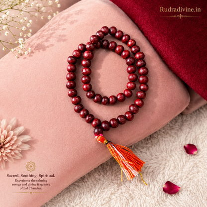 Lal Chandan (Red Sandalwood) Mala 54+1 Beads 8MM crafted from natural red sandalwood with official Lab Certificate by Rudradivine for meditation, prayer and daily spiritual practice.