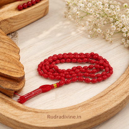 Lal Moonga (Red Coral) Mala 54+1 Oval 8MM Beads crafted from natural Red Coral with official Lab Certificate by Rudradivine for Mars energy, courage and spiritual protection.