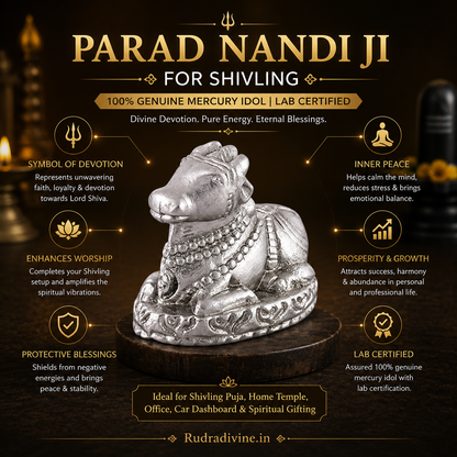 Parad Nandi Ji for Shivling | 100% Genuine Mercury Idol | Lab Certified crafted from authentic purified mercury with official Lab Certificate by Rudradivine for Lord Shiva worship, home temple, spiritual devotion and divine blessings.