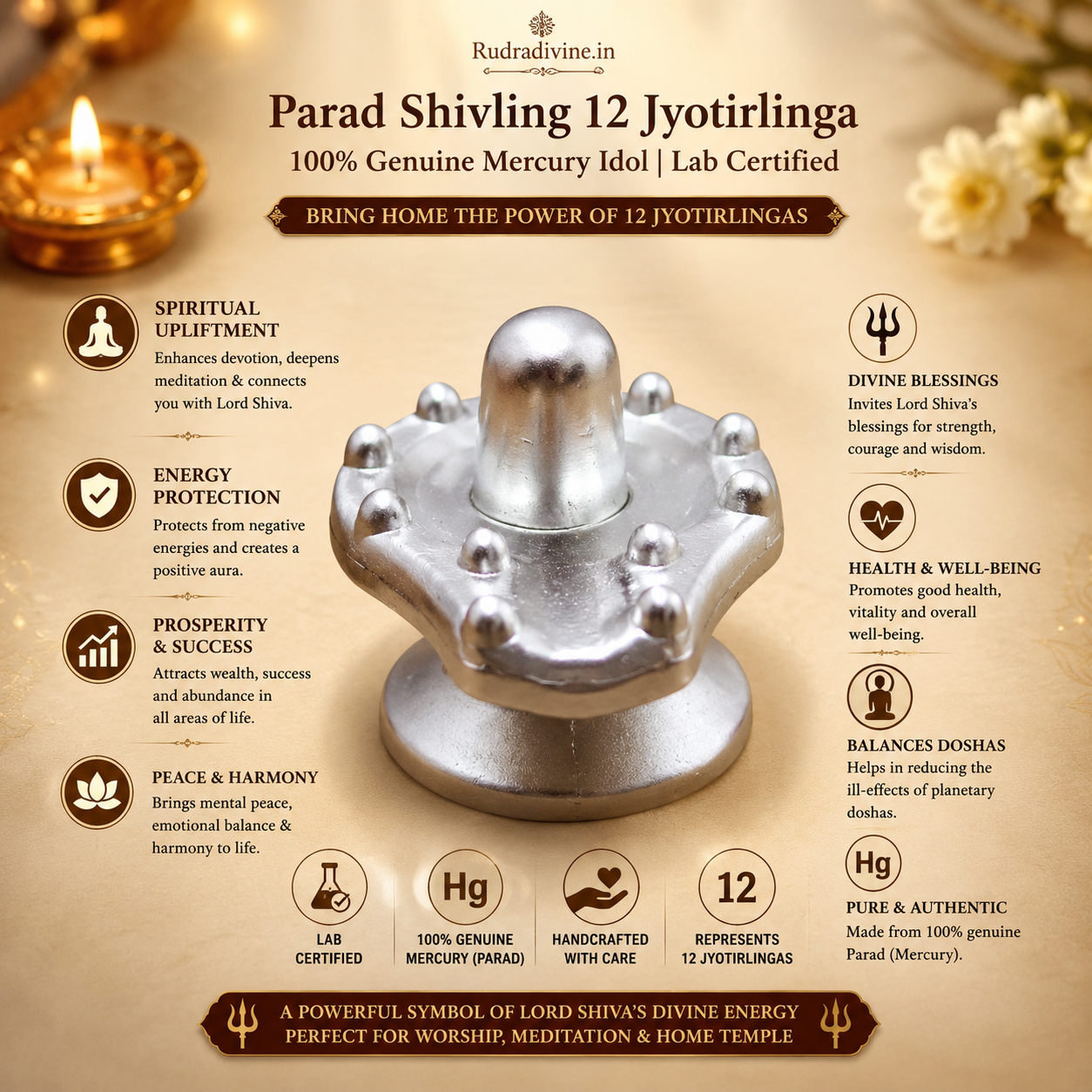 Parad Shivling 12 Jyotirlinga crafted from 100% genuine mercury with official Lab Certificate by Rudradivine for Shiva puja, meditation, Vastu harmony and spiritual devotion.
