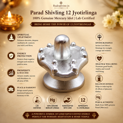 Parad Shivling 12 Jyotirlinga crafted from 100% genuine mercury with official Lab Certificate by Rudradivine for Shiva puja, meditation, Vastu harmony and spiritual devotion.