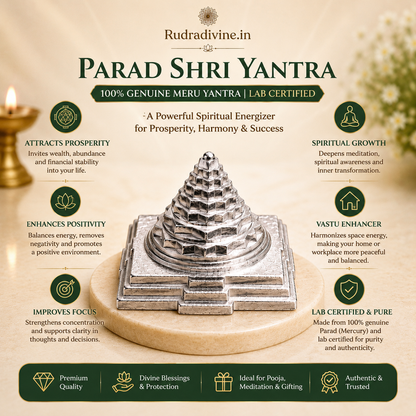 Parad Shri Yantra crafted from 100% genuine Parad (Mercury) with official Lab Certificate by Rudradivine for wealth, prosperity, Vastu balance and positive spiritual energy.