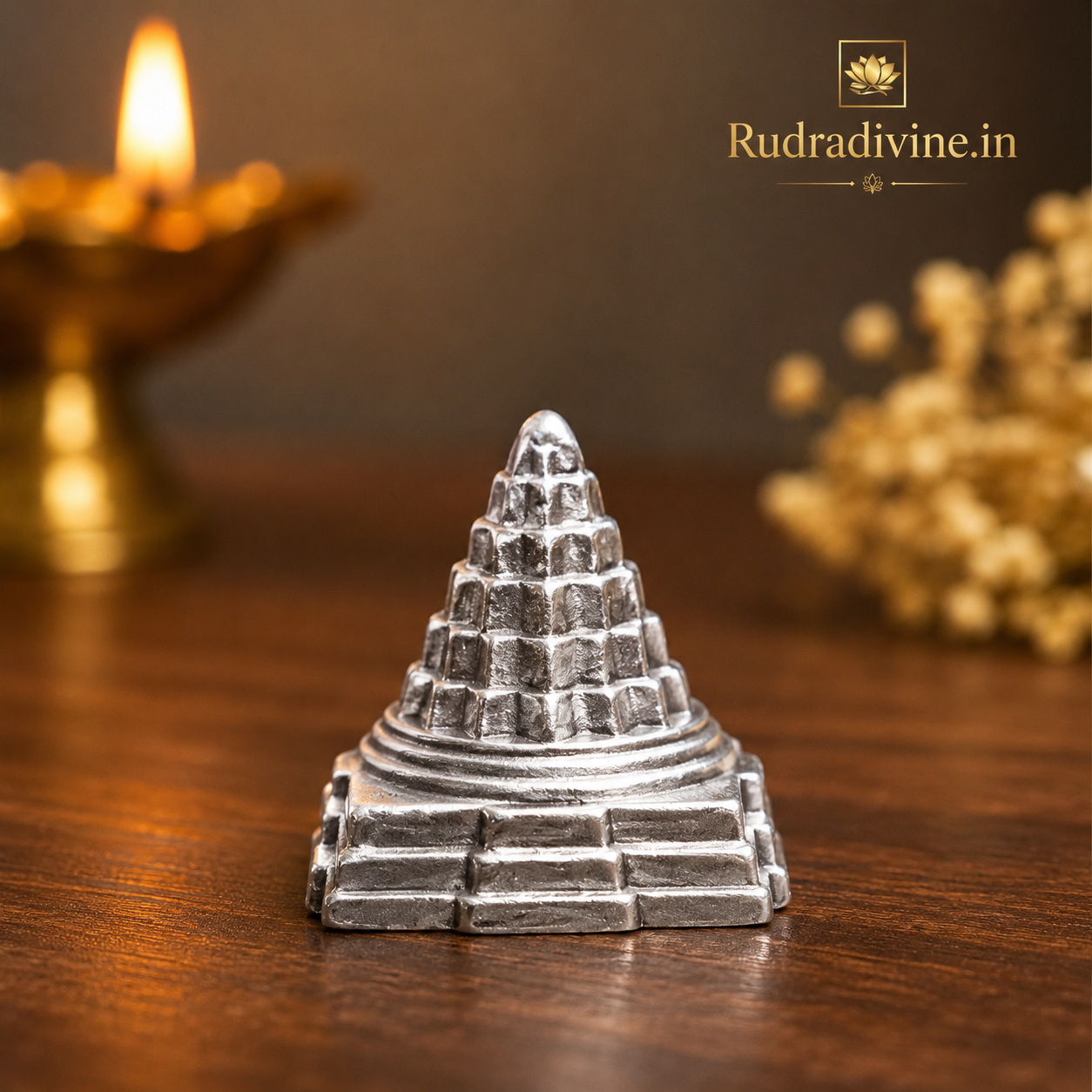 Parad Shri Yantra crafted from 100% genuine Parad (Mercury) with official Lab Certificate by Rudradivine for wealth, prosperity, Vastu balance and positive spiritual energy.